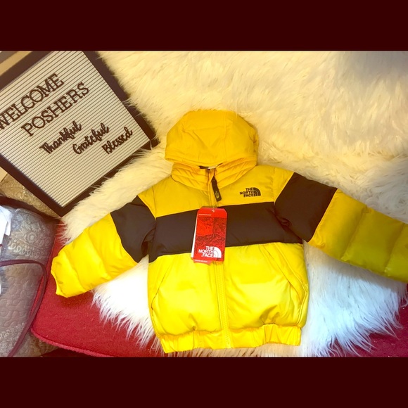The North Face Other - 🔥Sale North Face Toddler Moondoggy 2 Down Jacket